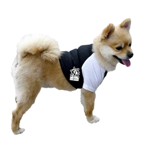 Doggie Baseball Tee